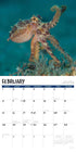 2026 OCTOPUS  WALL CALENDAR